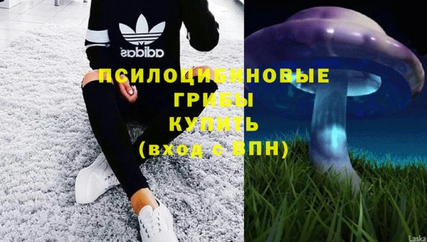 Альфа ПВП Пролетарск