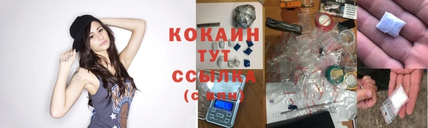 круглые Новодвинск