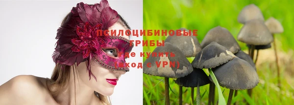 mdpv Новозыбков