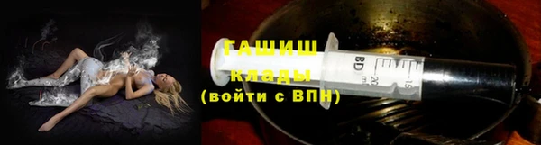 индика Вязьма