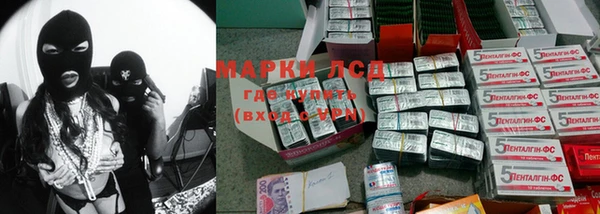 mdpv Новозыбков