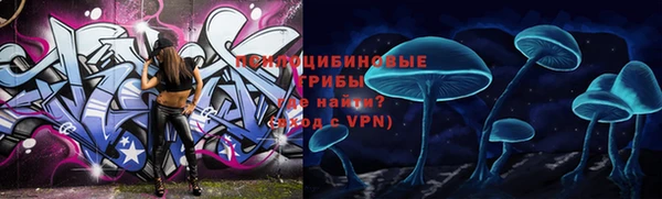 mdpv Новозыбков
