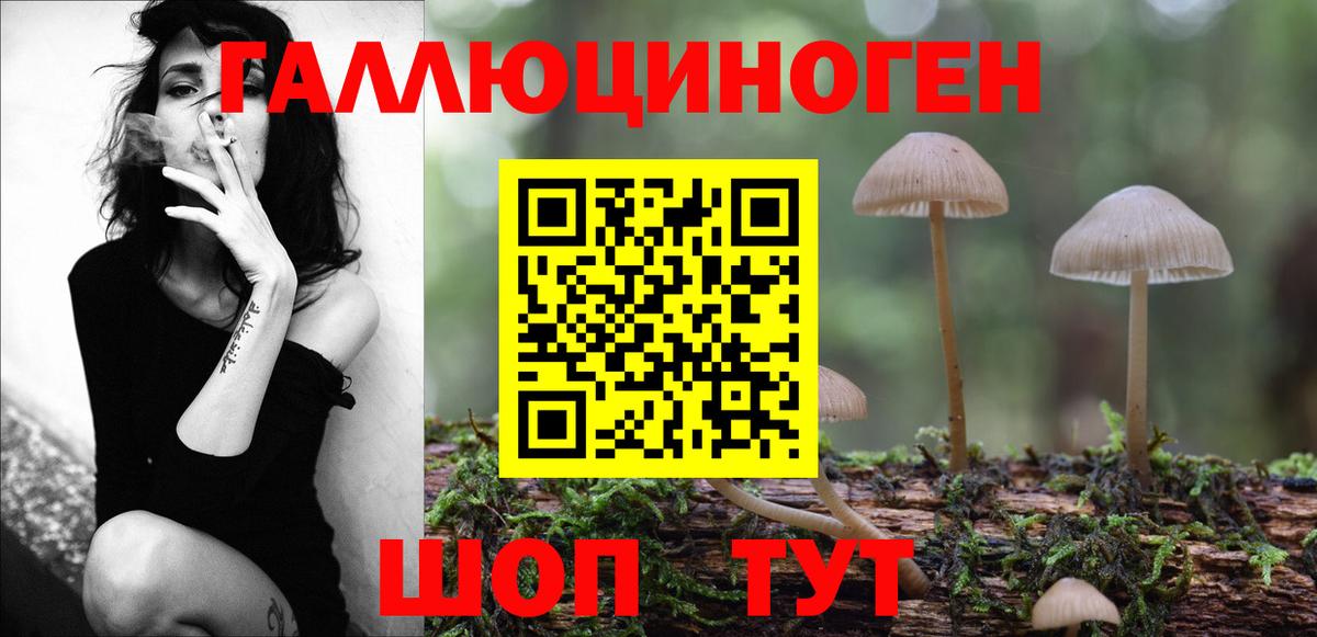 Галлюциногенные грибы Magic Shrooms  Вход с VPN  Псилоцибиновые грибы Psilocybe  Кондопога 