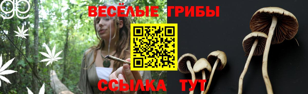 Галлюциногенные грибы мицелий Кондопога